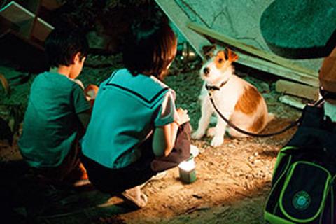 [영화제] 제9회 헝가리 한국영화제-데브레첸